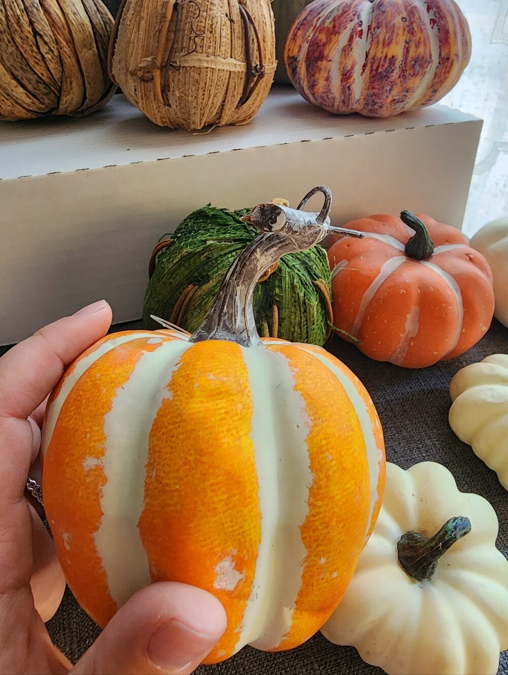 Assorted Mini Pumpkins - Picture 11 of 11